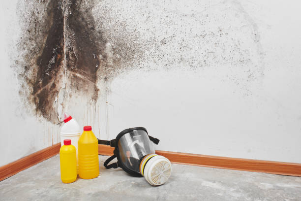 Water Damage Restoration in South Bend, IN