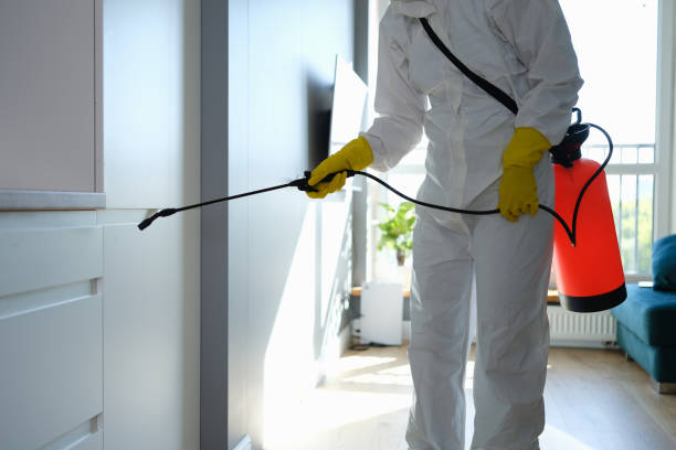 Home Mold Removal in South Bend, IN
